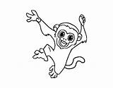 Monkey Capuchin Tattoo Coloring Baby Drawing Outline Small Cheerful Colorear Coloringcrew Getdrawings Tattooimages Biz sketch template
