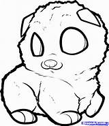 Pomeranian Puppy Coloringhome sketch template