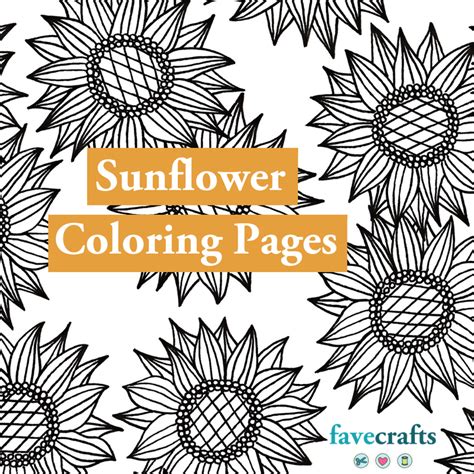 sunflower coloring pages  adults favecraftscom