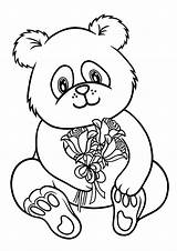 Coloring Pages Panda Baby sketch template