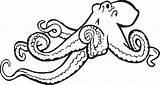 Octopus Coloring Book Clip Svg Clipart Clker Domain Public sketch template