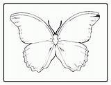 Coloring Butterfly Outline Printable Pages Para Templates Butterflies Kids Imprimir Cycle Animal Life Popular Print Desenhos Desenho Coloringhome Library Clipart sketch template
