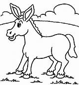 Donkey Drawings Printable Animals Coloring Drawing sketch template