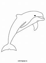 Dolphin Drawing Coloring Line Draw Drawings Dolphins Coloringpage Eu Kids Getdrawings Animal Choose Board Step Mermaids sketch template