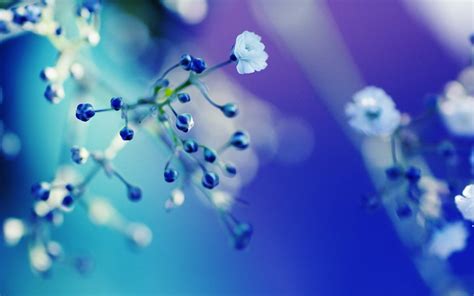 Cute Blue Flower Iphone Wallpaper Wallpaperlepi