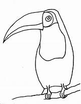 Tropical Template Toucan Bird Birds Drawing Beak Oil Pastel Passport Getdrawings Pastels Clipart Clipartmag Easy sketch template