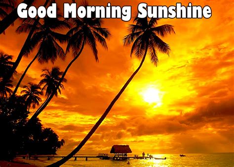 42 Good Morning Sunshine Wallpapers And Images Free Good Morning Images