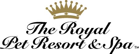pet resort hotel boarding  arlington tx  royal pet resort spa