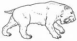 Animales Prehistoricos Dientes Sable Prehistoria Tigre Laminas Pinta Smilodon Midisegni Muestra Haz Relacionados sketch template