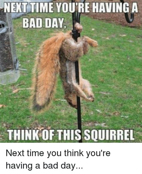 Next Time You Re Having A Bad Day Think Of This Squirrel
