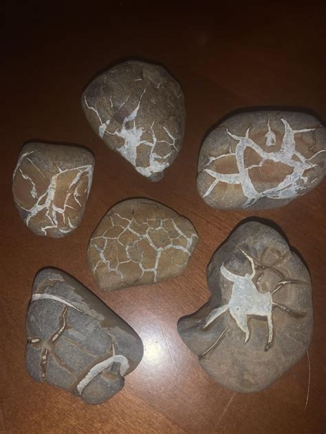 lightning stones septarian nodules  lake michigan rockhounds