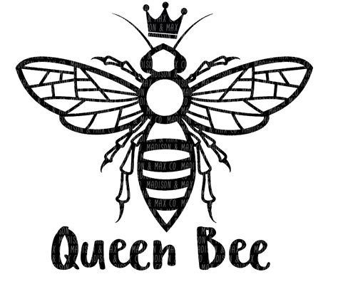 queen bee drawing  getdrawings