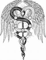 Caduceus Tattoo Medical Tattoos Drawing Caduceo Symbol Tatoo Wings Snake Egyptian Nurse Drawings Kabbalah Google Kundalini Cool Dna Tatto Ouroboros sketch template