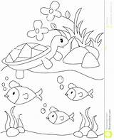 Pond Coloring Pages Royalty Habitat Animals Printable Color Animal Arctic Getcolorings Getdrawings Plants Template sketch template