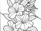 Pages Coloring Flower Exotic Printable Getcolorings Tropical sketch template
