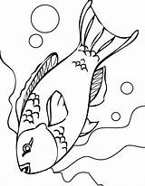 Coloring Pages Coral Fish Parrot Parrotfish Reef Getcolorings sketch template