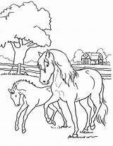 Foal Breyerhorses sketch template