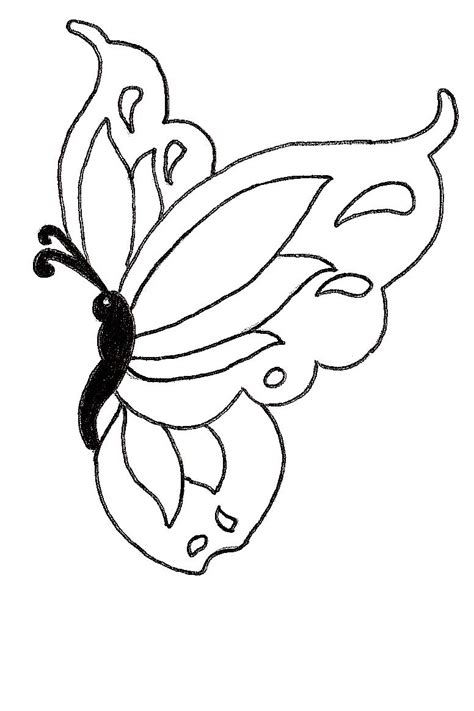cute butterfly drawing sablony pinterest