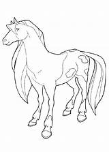 Horseland Ausmalbilder Calypso Pferde sketch template