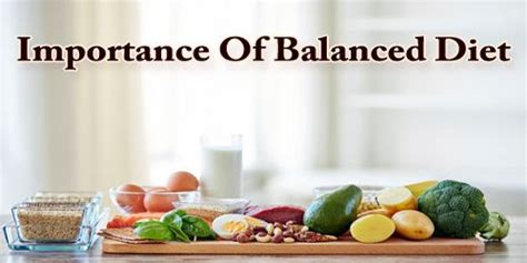Importance Of Balanced Diet Zoefact