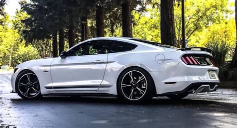 pictures  white mustangs