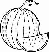 Watermelon Melancia Melon Seedless Mitraland Bestcoloringpagesforkids sketch template