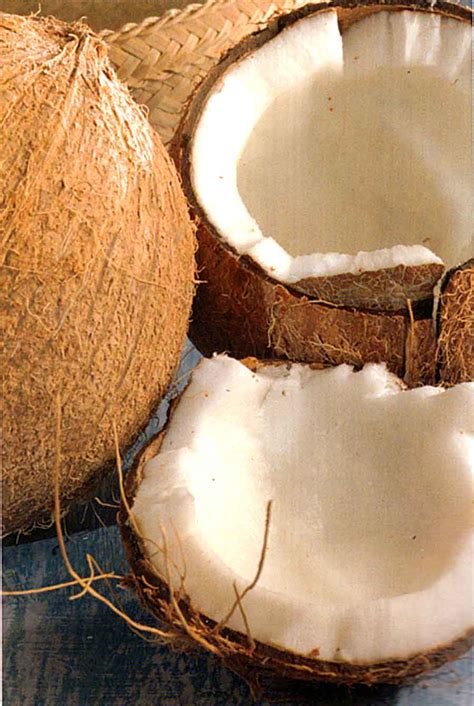 choose   store    coconut benefits  coconut