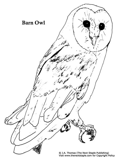 barn owl coloring pages   printable coloring pages fall coloring
