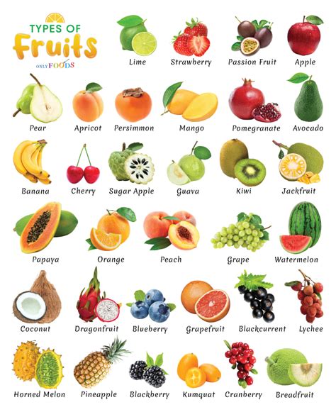 list    types  fruits  pictures