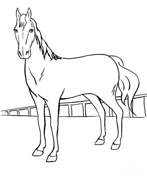 horse coloring pages  girls  getdrawings