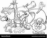 Coloring Animals Safari Cartoon Vector Royalty sketch template