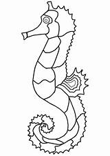 Seahorse Caballito Colorear Zeepaardje Kleurplaat Konik Morski Seepferdchen Kleurplaten Supercoloring Disegno Marino Cavalluccio Ausmalbild Zeichnen sketch template