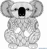Koala Koalas Imprime Alimento Observar Adorables Favorito Eucalipto Figuras Book sketch template
