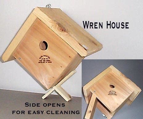 wren house   birds wildlife