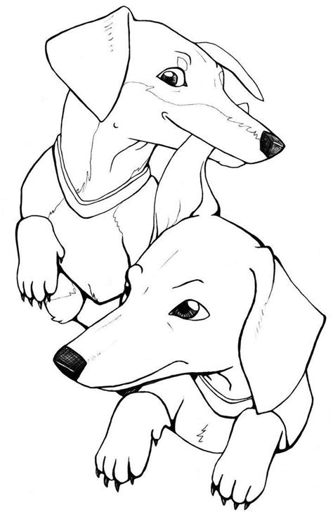 dachshund coloring pages  coloring pages  kids