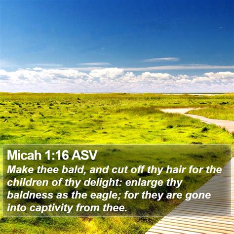 Micah 1 Scripture Images Micah Chapter 1 Asv Bible Verse