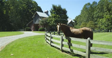 multi acre mini farms appeal  horse lovers newcomers