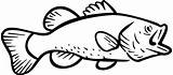 Fish Bass Coloring Pages River Color Shark Print Fresh Button Tocolor Through sketch template