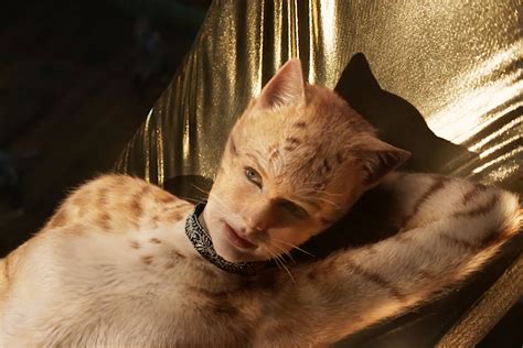 cats   patched  improved visual effects  verge