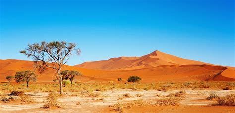 klassische namibia rundreise uhambo eafrica touristik gmbh reisen