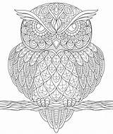 Sowa Antystresowa Owl Zentagle Kolorowanka Zentangle Druku Shopkins Wydrukuj Malowankę sketch template