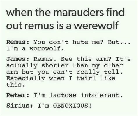 The Marauders Found Out Remus Lupin Was A Werewolf Harry