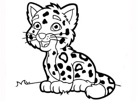 jaguar coloring pages baby   ages  worksheets