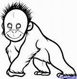 Orangutan Draw Dragoart Monkey Orangutans sketch template
