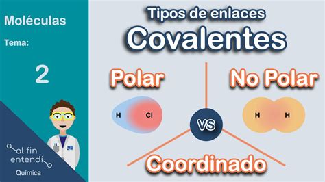 diferencias entre covalente polar   polar youtube