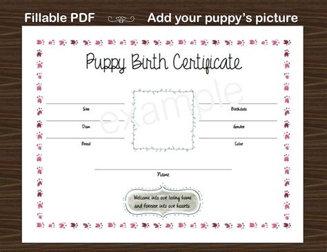 printable blank puppy birth certificate printable templates