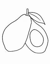Aguacate Rama Pintar Fruta sketch template