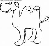Camellos Paginas sketch template