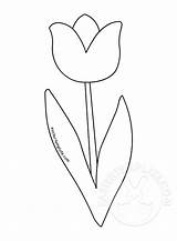 Tulip Coloring Simple Flower Template sketch template