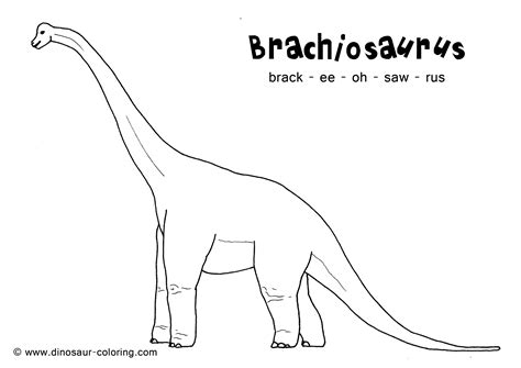 brachiosaurus dinosaur coloring pages dinosaur coloring brachiosaurus